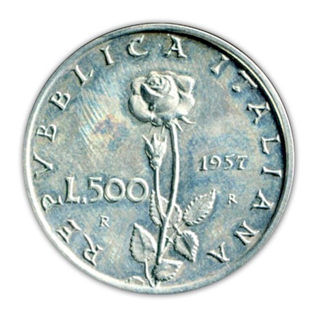 rosa